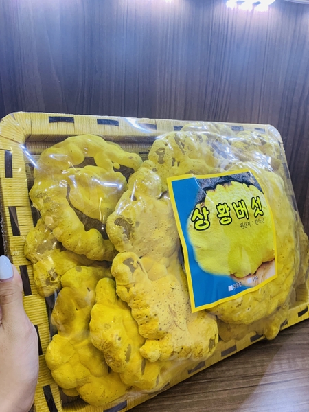 Nấm Thượng Hoàng Cao Cấp Hàn Quốc Khay 1Kg