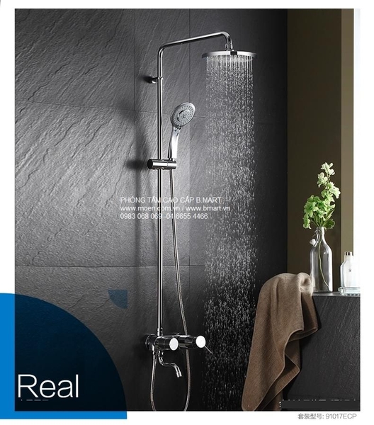 sen-cay-moen-91017ecp