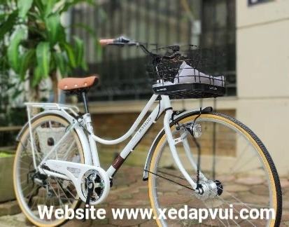 Xe đạp mini Nhật Maruishi Premier PEP263E  xedap24hvn