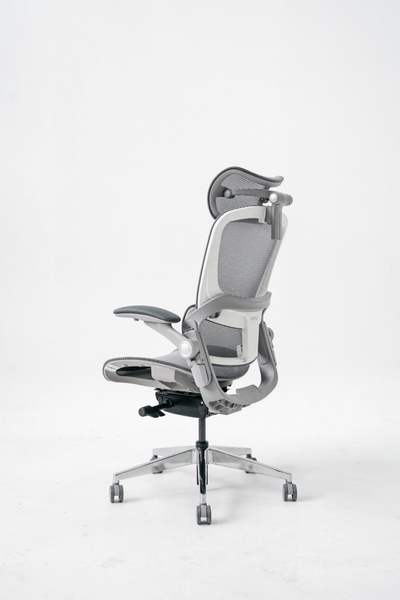 Ghế công thái học Epione Easy Chair SE