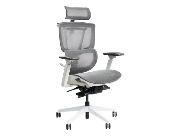 Ghế Công Thái Học Epione ErgoChair Pro 2.0