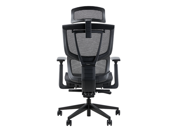 Ghế Công Thái Học Epione ErgoChair Pro 2.0