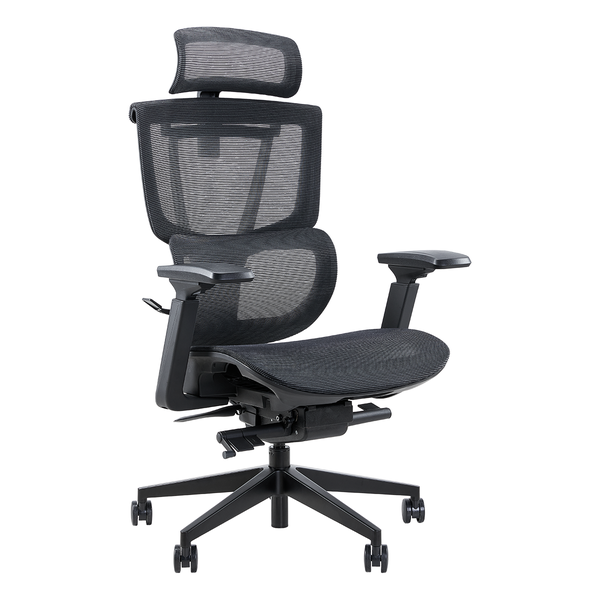 Ghế Công Thái Học Epione ErgoChair Pro 2.0