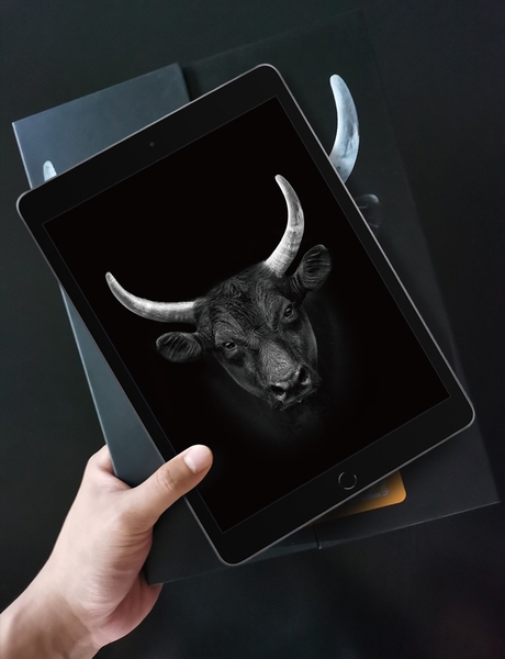 Miếng dán cường lực MIPOW KINGBULL PREMIUM HD (2.7D) cho iPad Mini 6 (8.3 INCH)