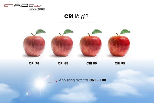 CRI là gì? Chỉ số hoàn màu có vai trò quan trọng như thế nào?