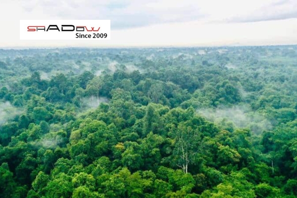 Tổng hợp kinh nghiệm cắm trại rừng Mã Đà