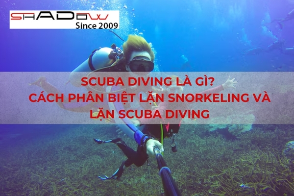 Scuba Diving là gì? Cách phân biệt lặn Snorkeling và lặn Scuba Diving 