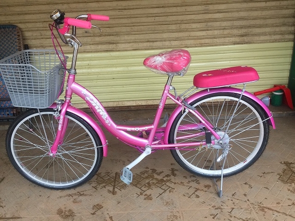 Xe đạp Mini nữ hồng (New)