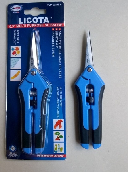 Image result for TGP-00248