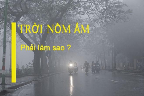 Có nên dát vàng khi trời nồm ẩm?