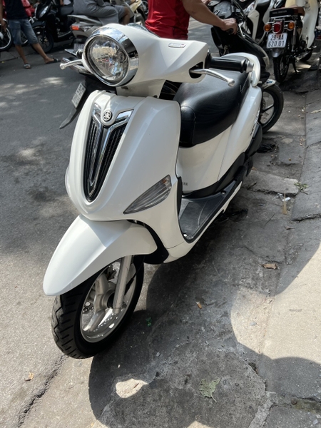 Nozza 29H-295BE – Hoàng Kiên