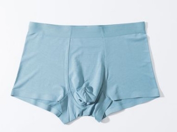 Quần Lót Đùi Nam Đài Loan Cao cấp Tencel Trơn