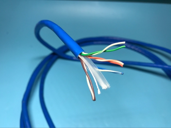 dây mạng internet