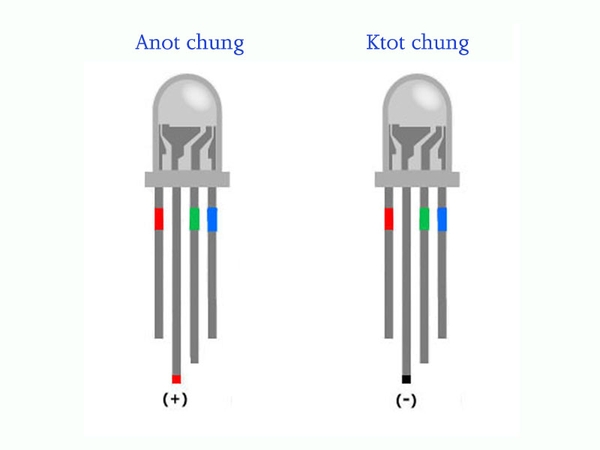 led-da-sac-rgb-5mm-chan-cam