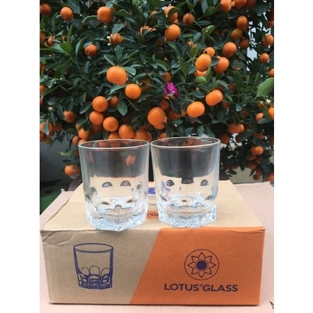 Sỉ In Logo Set 6 LY THỦY TINH 250ml Lotus vtc182