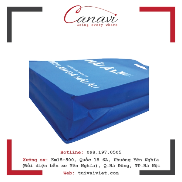 Túi Vải Không Dệt Hải Âu TVV015 04