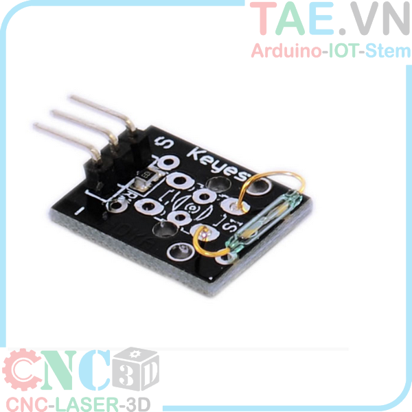 Mini Dry Reed Pipe Module Trường An Equipment