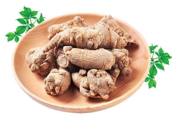 Sự khác nhau giữa tam thất bắc và tam thất nam Sự khác nhau giữa tam thất bắc và tam thất nam
