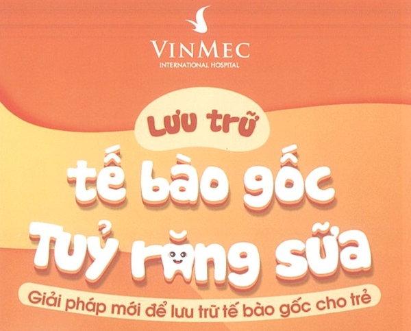 Lưu trữ Tế bào gốc - Tủy răng sữa / Vinmec