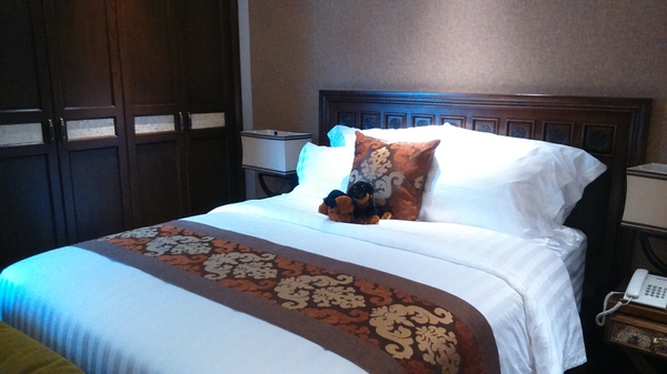 JB Apartment（新築） _______1,300$~1,500$_______