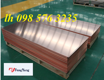 HỢP KIM ĐỒNG C1100 – LH 098 576 3235