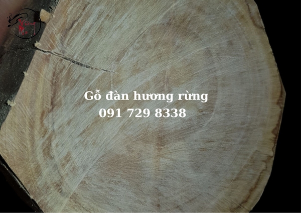 gỗ đàn hương giá bao nhiêu