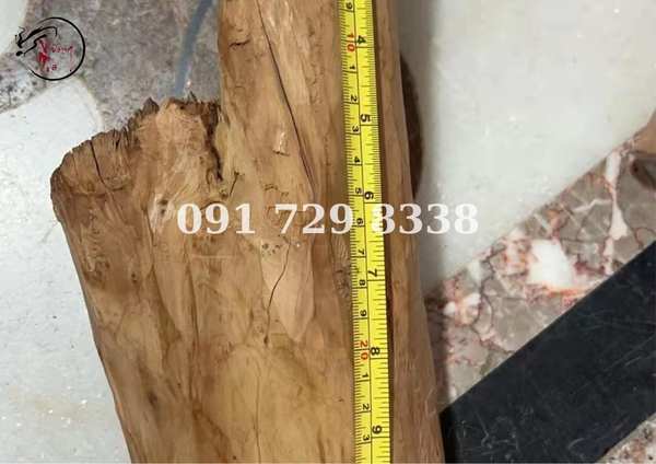 gỗ cây đàn hương