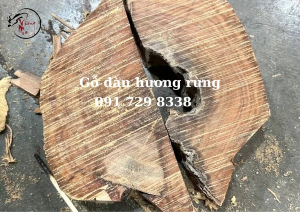 văn hóa thẩm mĩ gỗ đàn hương trắng