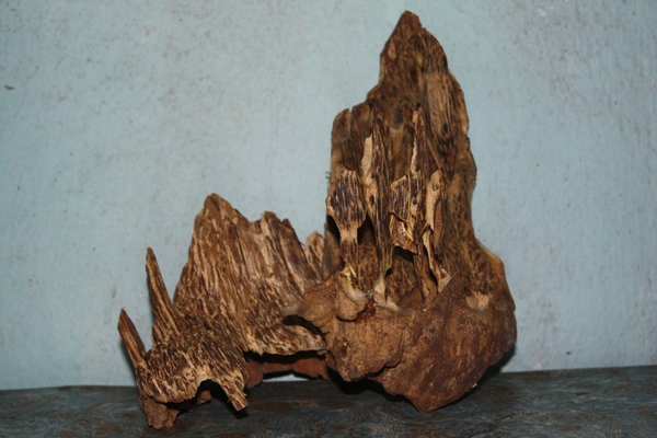 gỗ trầm hương