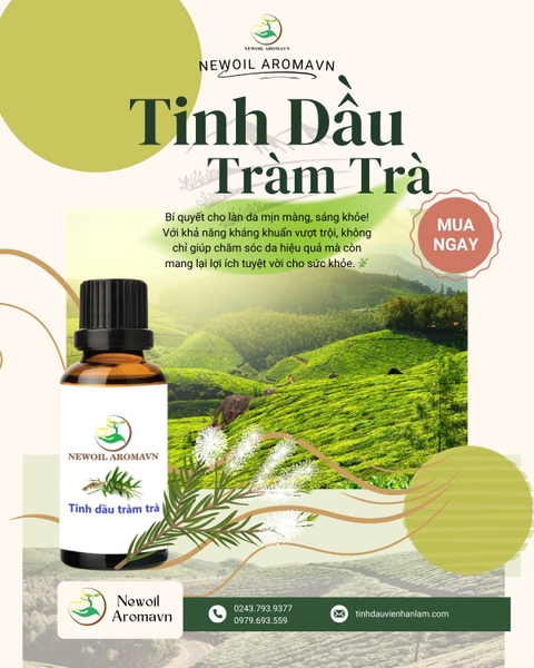 🌿 TINH DẦU TRÀM TRÀ – THANH LỌC LÀN DA, THƯ GIÃN TÂM HỒN!