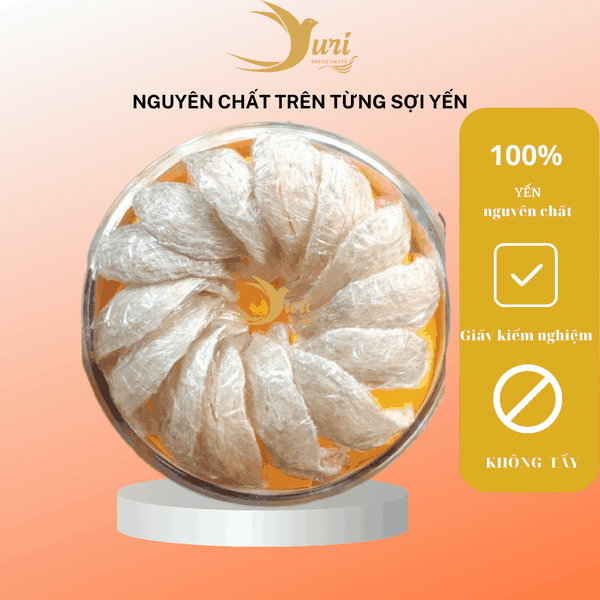 Yến nguyên chất rút lông khô SURI 50g