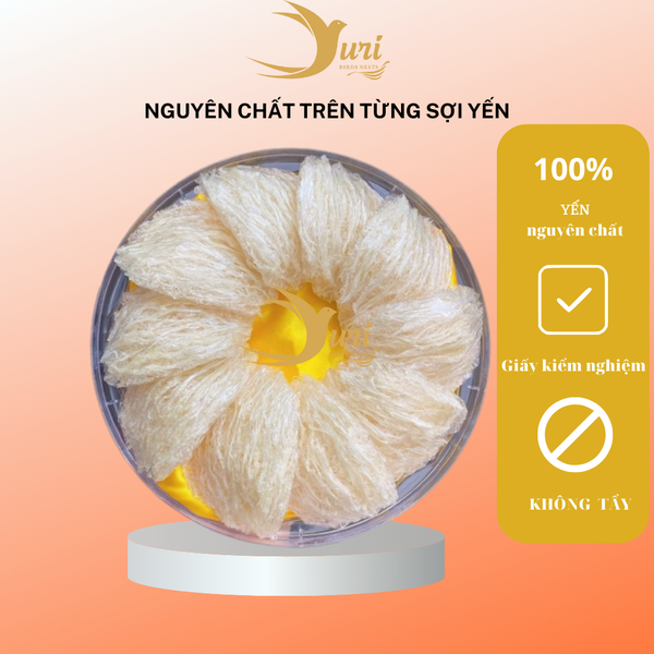 Yến tinh chế nguyên chất siêu sợi 50g | Suri Birds Nests