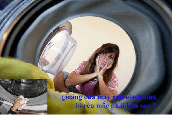 Cách làm sạch gioăng cửa máy giặt electrolux