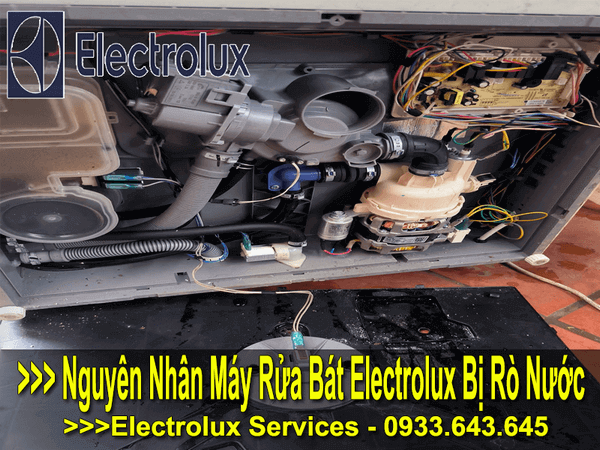 Máy rửa bát electrolux bị rò rỉ nước