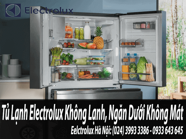 tủ lạnh electrolux không lạnh, ngăn dưới kém mát