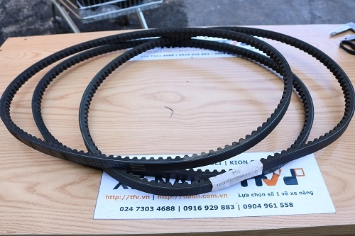 Dây Curoa xe nâng 8FD10-30 1DZ