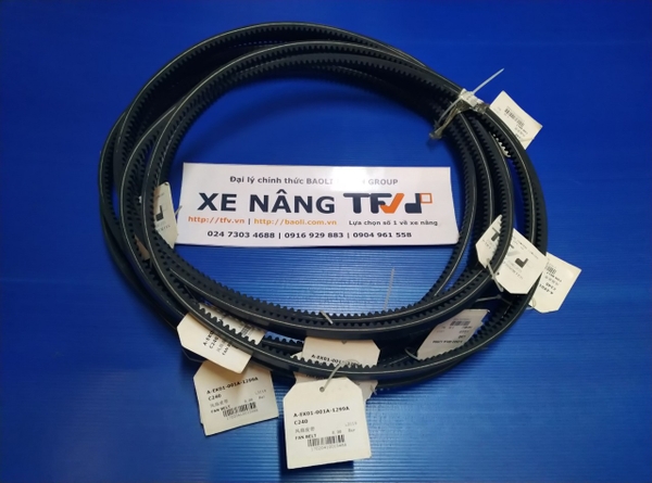 Dây Curoa xe nâng động cơ C240/F18C