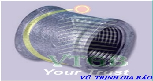 Măng xông ren trong, mạ kẽm.