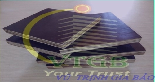 Ván phủ phim thương hiệu VTGB
