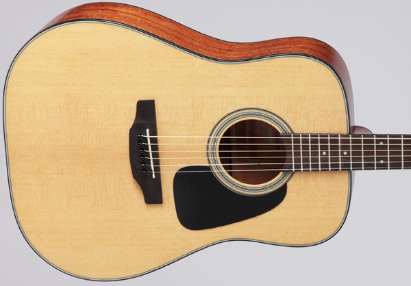 Takamine D1D-NS