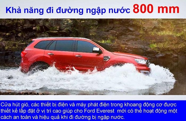 ford everest 2019
