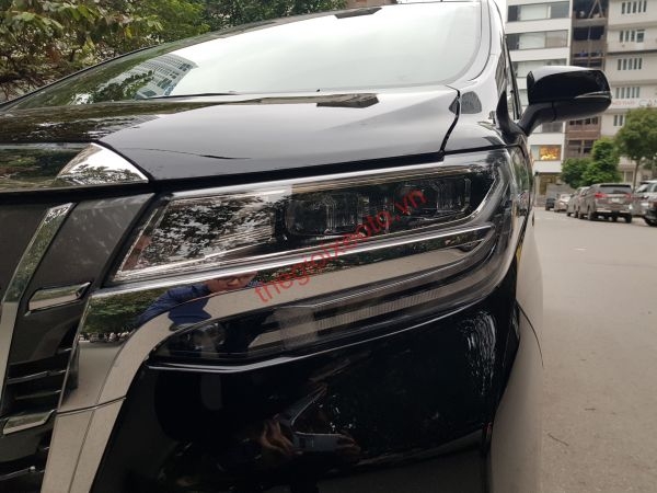 Đèn pha xe Alphard
