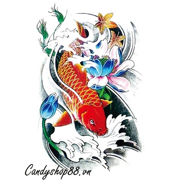 99 mẫu hình xăm cá chép kín lưng đẹp và ý nghĩa  Thẩm mỹ Thu Cúc