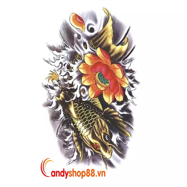 Hình xăm dán Cá Chép HB100  Candyshop88 chuyên quà tặng hộp quà quà  tặng trang sức hình xăm dán tattoo