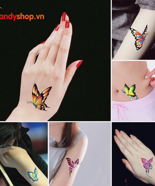 HÌNH XĂM DÁN TATTOO BƯỚM QQ89  Candyshop88 chuyên quà tặng hộp quà quà  tặng trang sức hình xăm dán tattoo