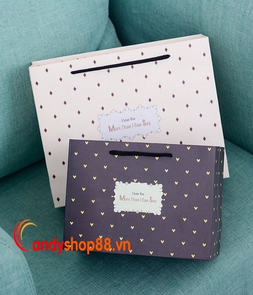 In túi giấy đựng quà tặng  TOP 10 mẫu túi siêu đẹp giá rẻ Hà Nội  Xưởng  in Tân Phát