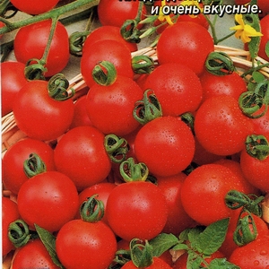 Томат Викуся Фото Характеристика Отзывы