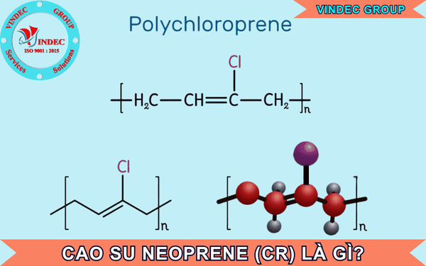 Cao Su Neoprene (CR) Chịu Thời Tiết Là Gì?