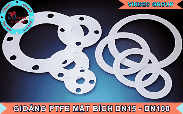 Gioăng PTFE DN 15, 20, 25, 32, 40, 50, 65, 80, 100