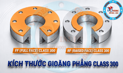 Kích Thước Gioăng Phẳng ASME B16.21 Class 300
